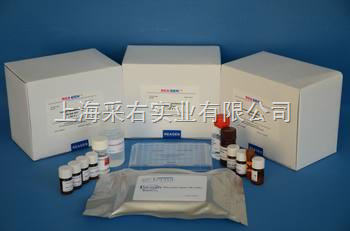 豚鼠免疫球蛋白E(IgE)Elisa試劑盒 專業檢測工具的產品報價與上海采右實業服務解析